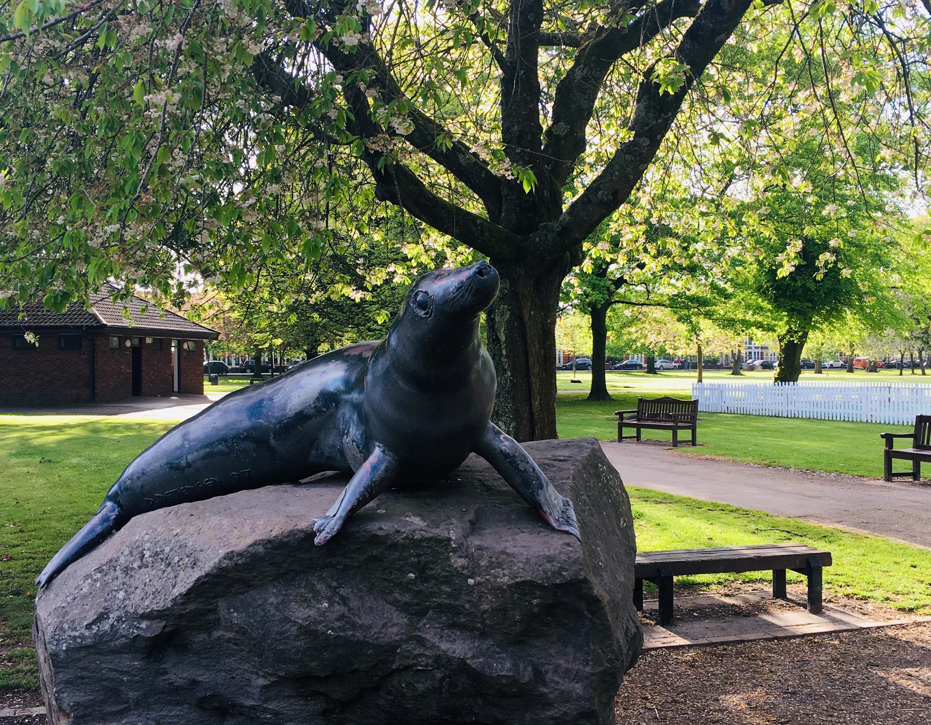 Victoria Park Cardiff's Victorian Zoo Celtic English Academy